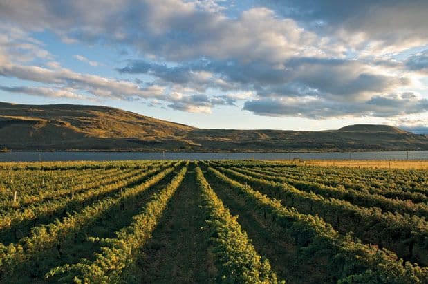 Columbia Gorge