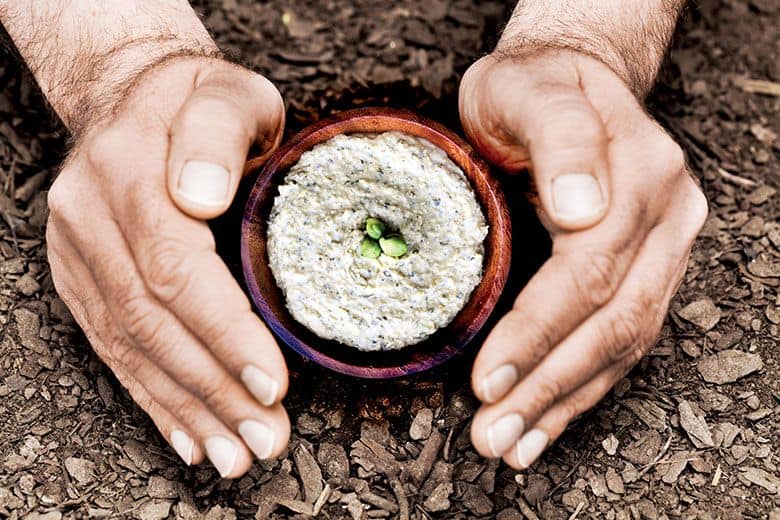 These Old School Washington Farmers Are Making Farm-to-Table Even More Direct