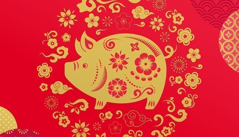 Happy Chinese new year 2019, the year of pig. Vector banner, background template