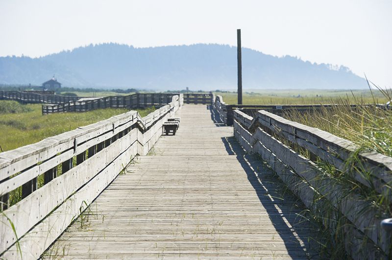 "Boardwalk at Long Beach in Washington State, USA"