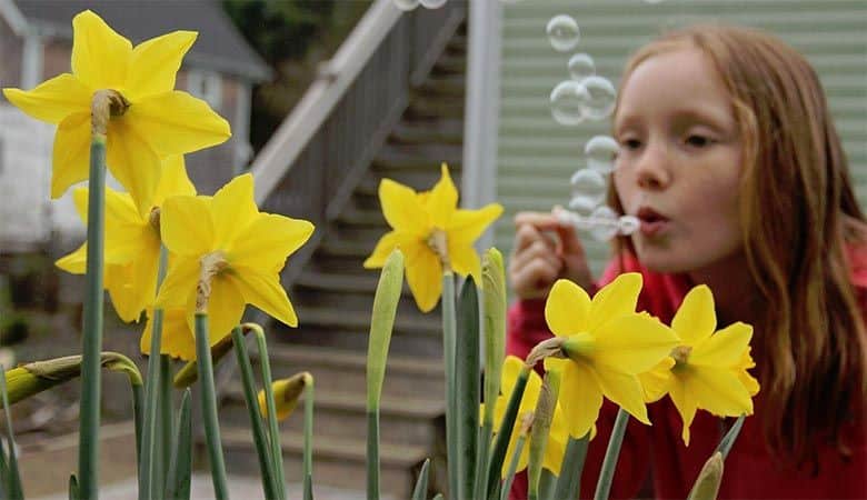 Seabrook Hosts First Annual "Daffodil Festival" March 17-18