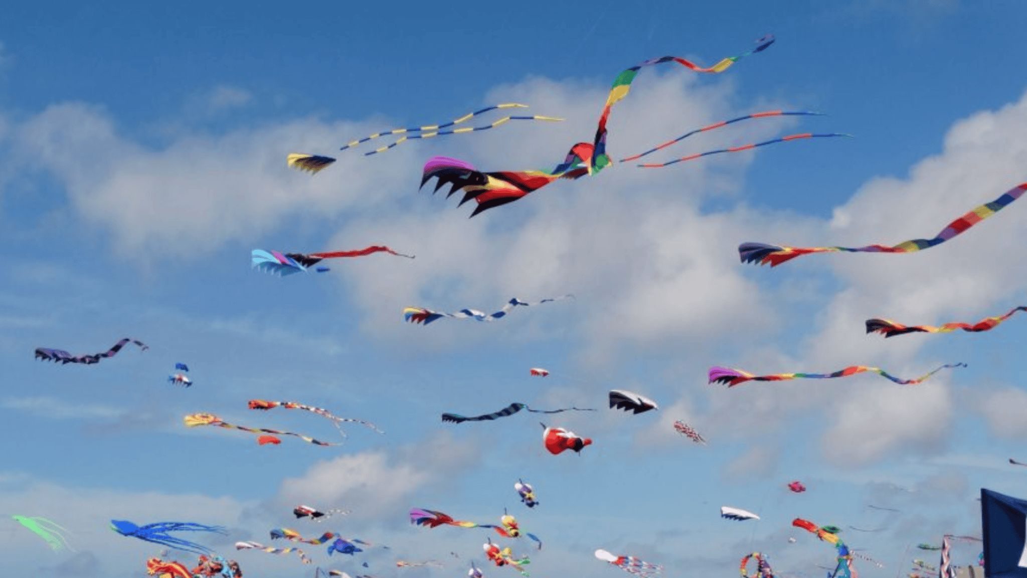 The Washington State International Kite Festival - Seattle magazine