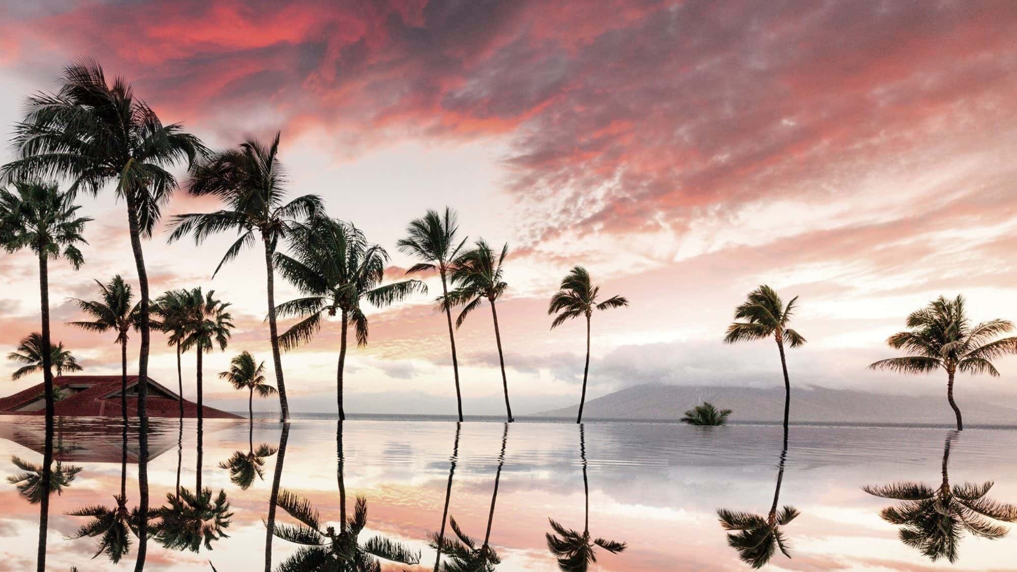 OUTDOORS_FSMaui Adult Pool Sunset copy-16-9-2000x1125-min Palm trees reflect in a calm body of water during sunset, with a vibrant sky of pink and orange clouds—a perfect backdrop for evening wellness hacks.