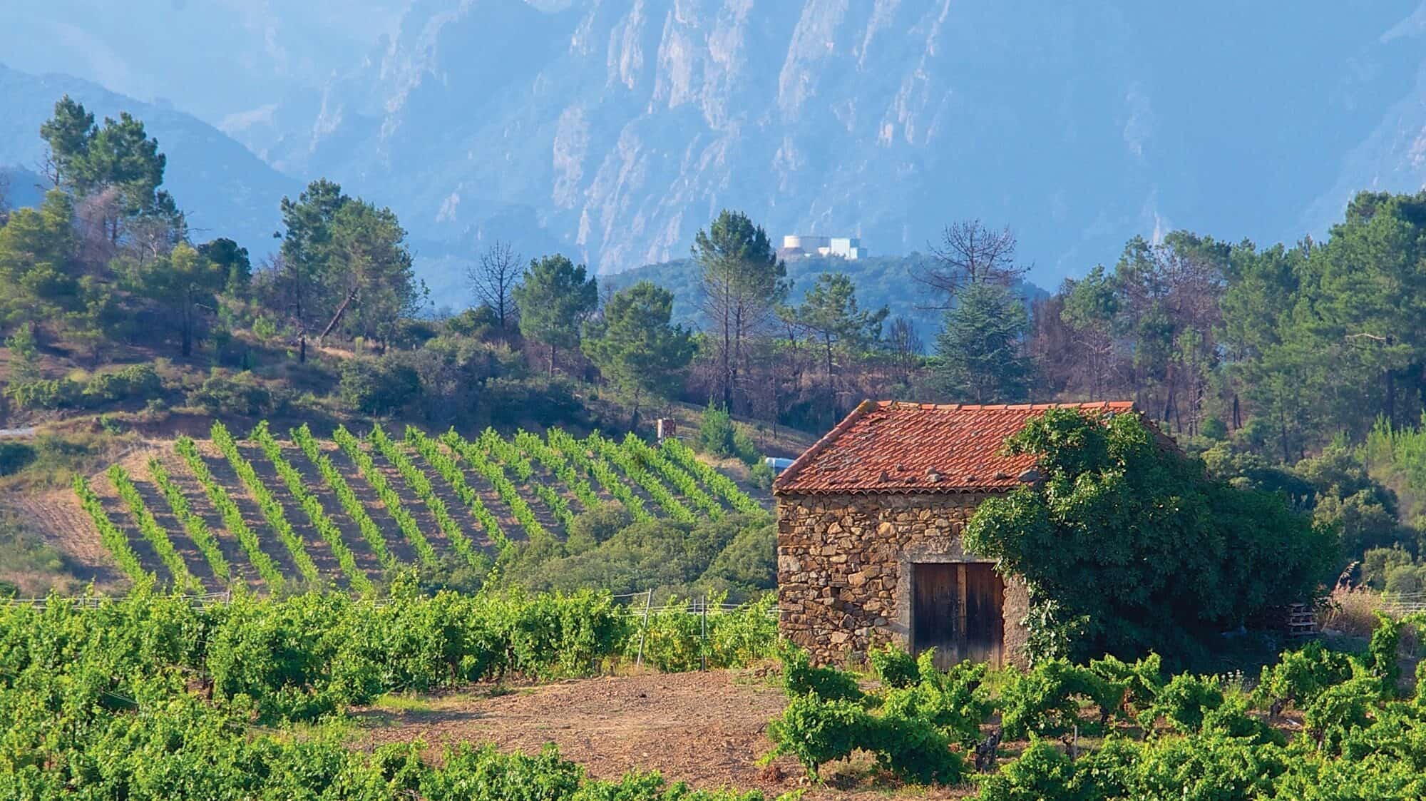 TRAVEL_AdobeStock_84940607 copy-16-9-2000x1125-min A stone building with a red roof stands amid a lush vineyard, offering curated wines from Southern France. Surrounded by trees and hills, with misty mountains in the background, it's the perfect setting for a charcuterie picnic.