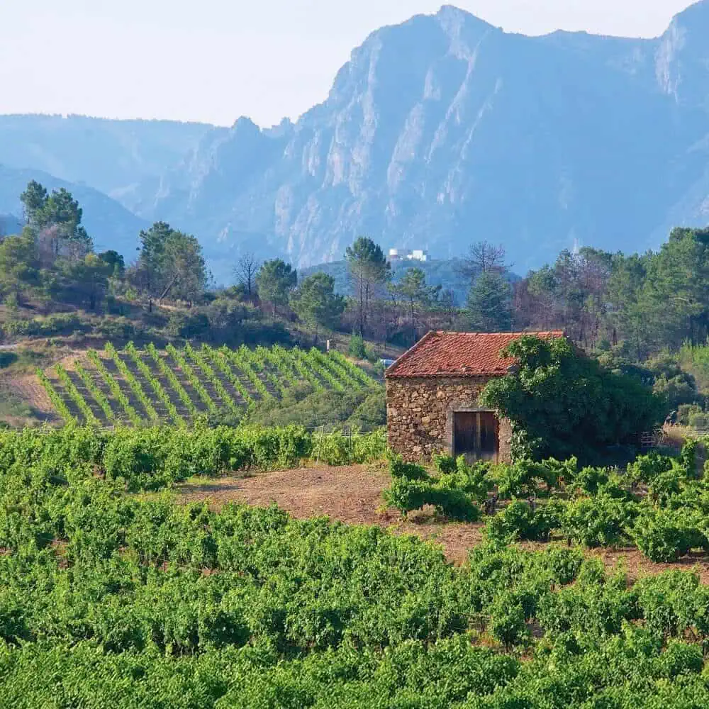 Discovering the Hidden Treasures of Languedoc Discovering the Hidden Treasures of Languedoc