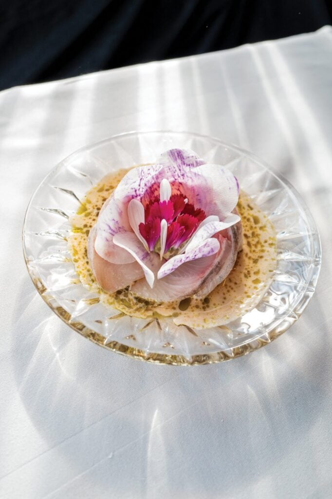 A delicate pink and white flower, evocative of romance, is placed in a glass dish filled with liquid, set on a white surface with a dappled light effect.