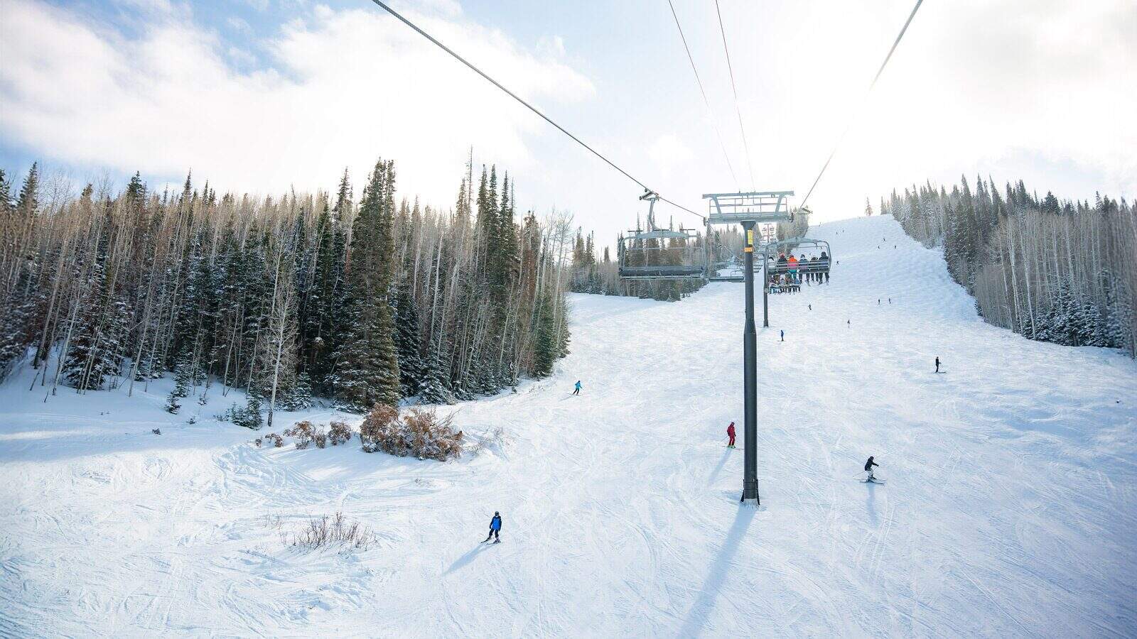 Skiers glide down a snowy slope in Park City, with a ski lift overhead and tall evergreen trees under a brilliant blue sky, experiencing some of the best snow around.