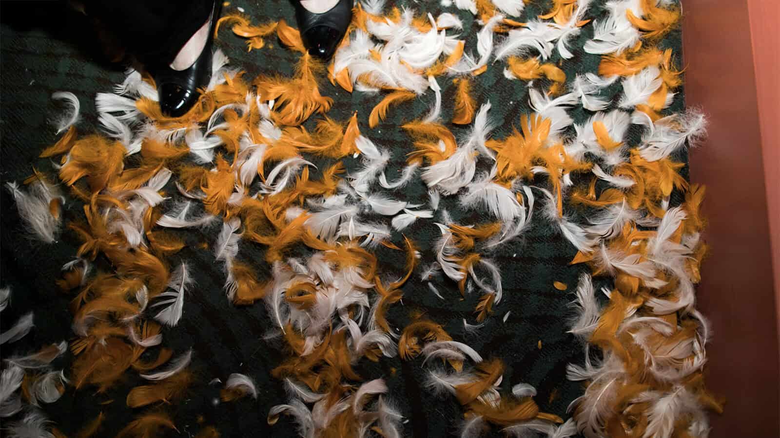 Orange and white feathers scattered across a dark green carpet evoke a disco-inspired scene, with a pair of black shoes visible at the top left corner.