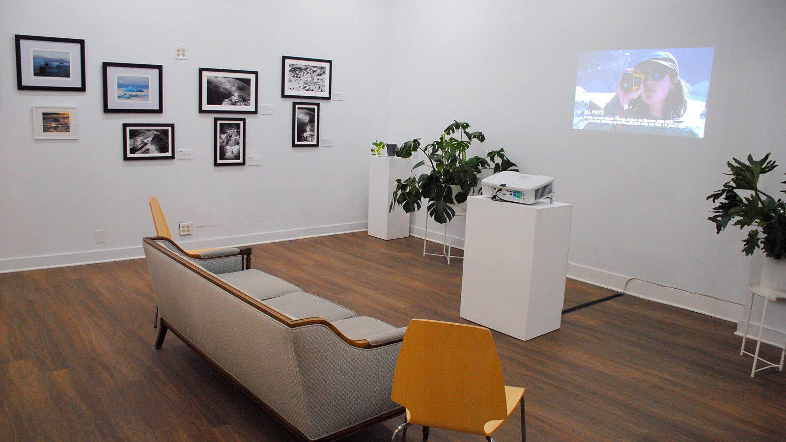 A small gallery room with framed photographs on white walls, a sofa and chair, potted plants, and a projector displaying the subtitled video "Glacial Expressions" on a blank wall.
