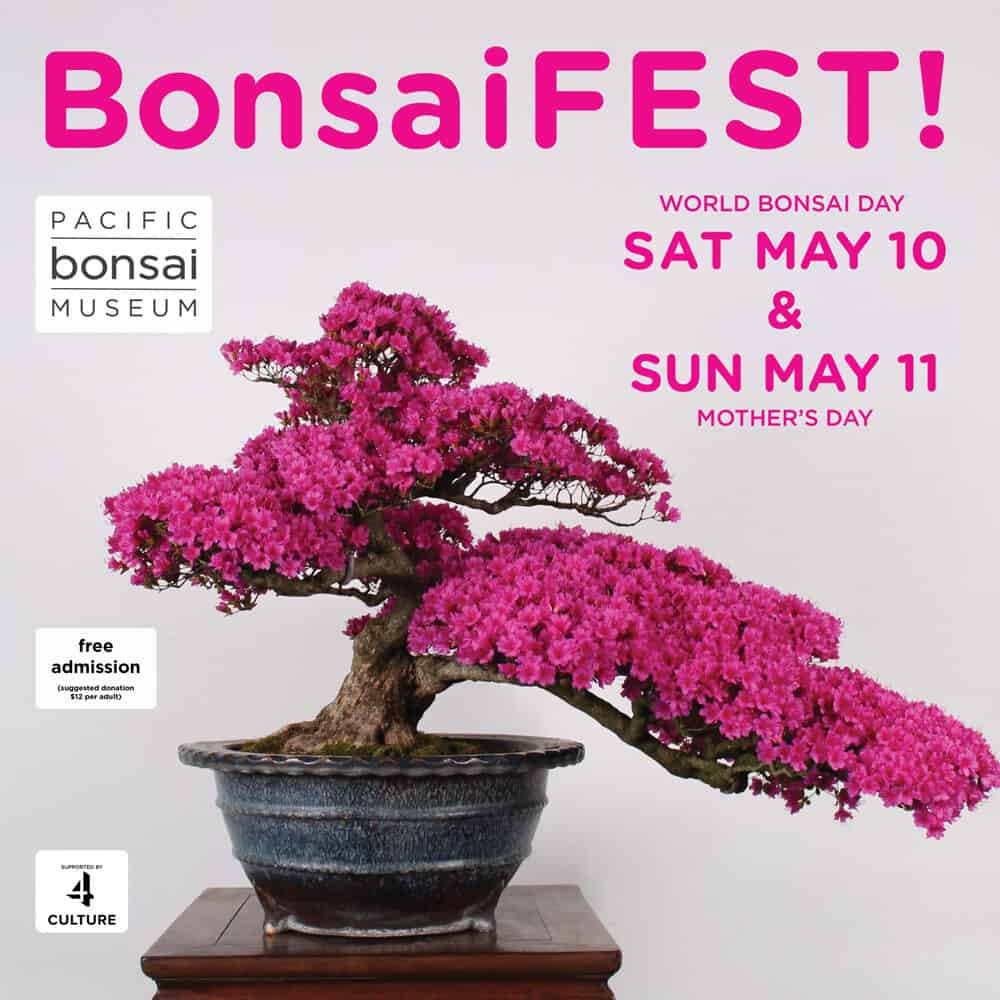 A flowering bonsai tree in a pot with text promoting BonsaiFEST! at the Pacific Bonsai Museum on May 10-11—free admission for World Bonsai Day and Mother’s Day. Add this event to your Must List 2025!.