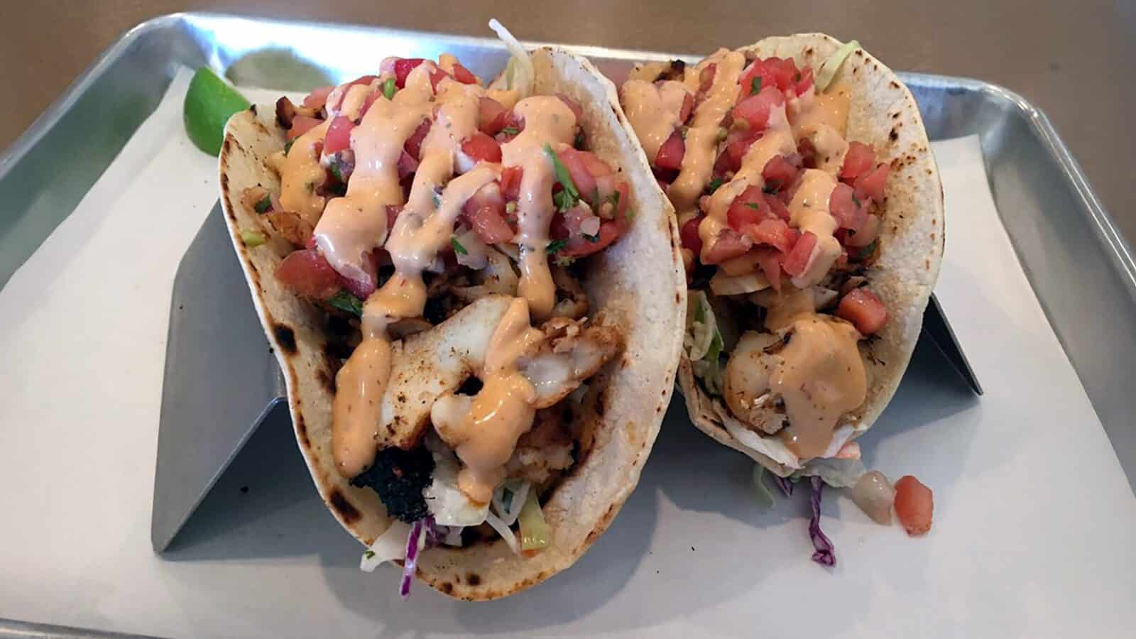 Two grilled chicken tacos with diced tomatoes, shredded lettuce, and creamy sauce, served on a metal taco holder with a slice of lime—just one of the fresh flavors you’ll find at Counter Culture: Burien Fish House.