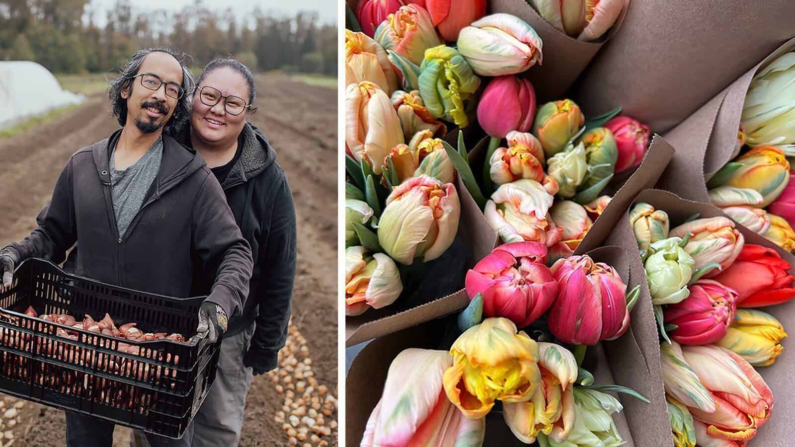 Two people stand smiling in a field, holding a crate of bulbs. Beside them, a close-up shows colorful bouquets of seasonal tulips wrapped in brown paper and sustainably harvested flowers.