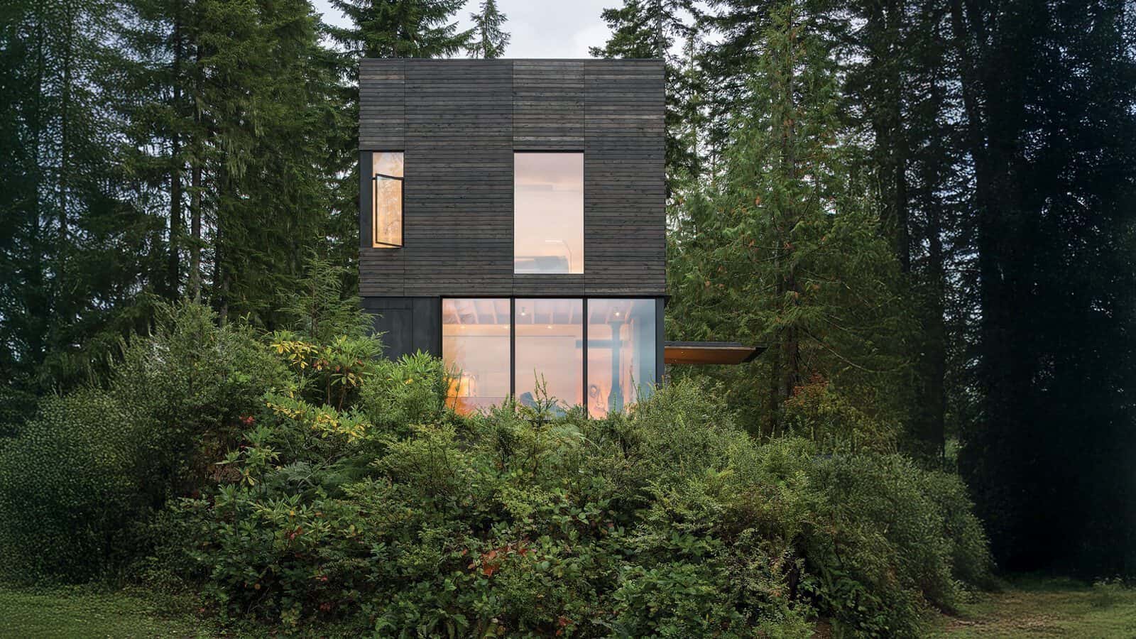 A modern two-story house with a dark exterior, large lower windows, and dense greenery—perfect for summers in the waterfront or as luxurious second homes nestled among tall trees.