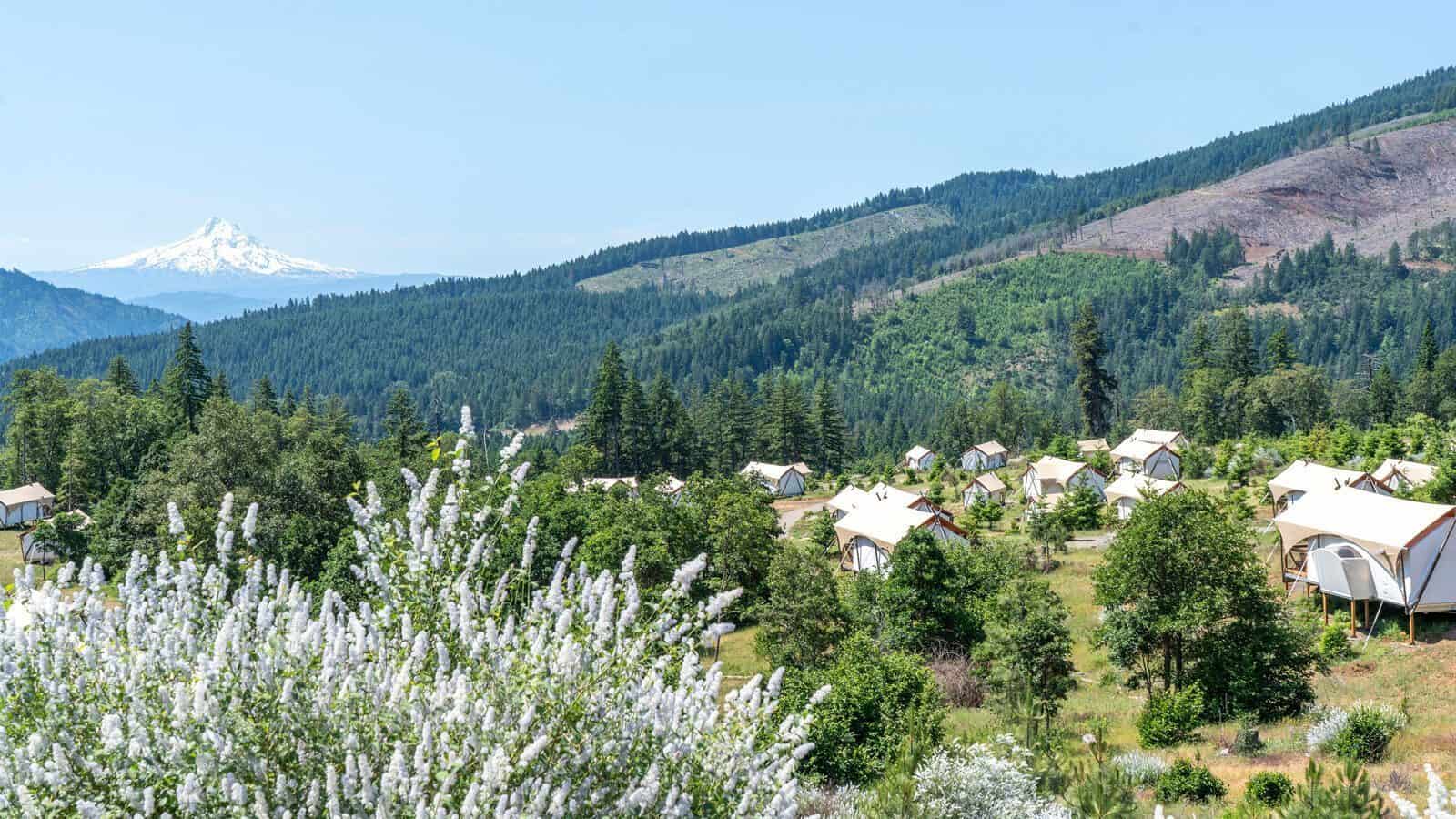 Cluster of white glamping tents set in a green, hilly landscape with a snow-capped mountain in the background under a clear sky—your Gorge-ous Getaway awaits amid stunning natural beauty.