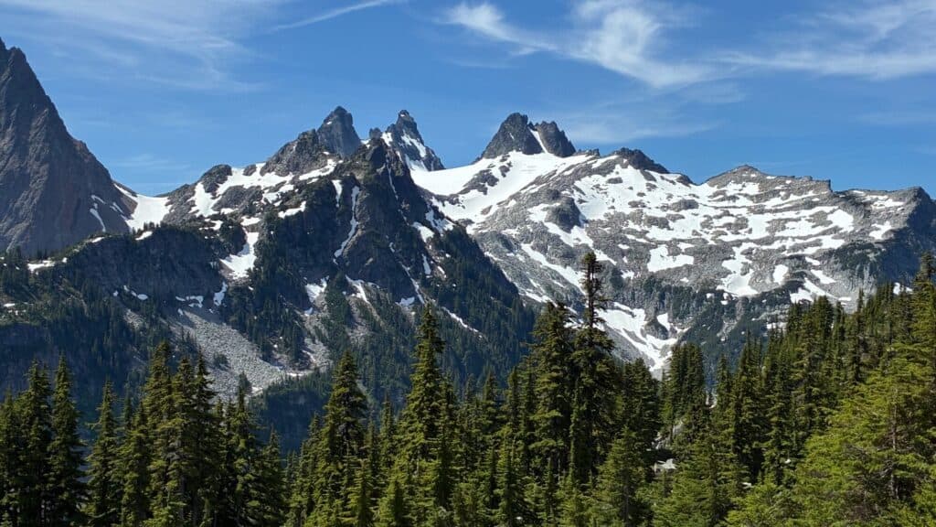 Snow-capped mountain peaks rise above a forest of evergreen trees under a clear blue sky.