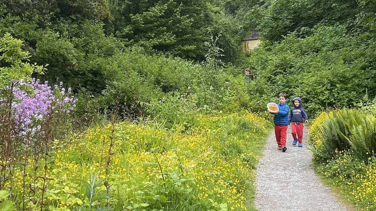 Two children walk along a narrow gravel path surrounded by dense greenery and yellow wildflowers on a cloudy day, enjoying the Trail to Table journey.