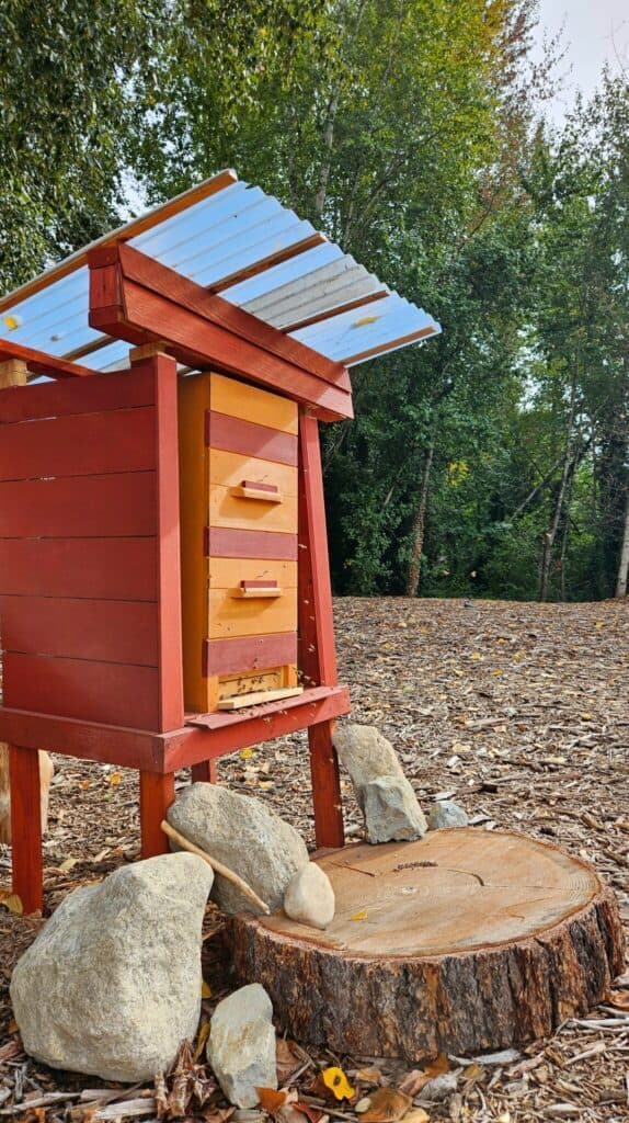 A red and yellow wooden beehive stands on a tree stump surrounded by rocks, with a metal roof and a forested background.