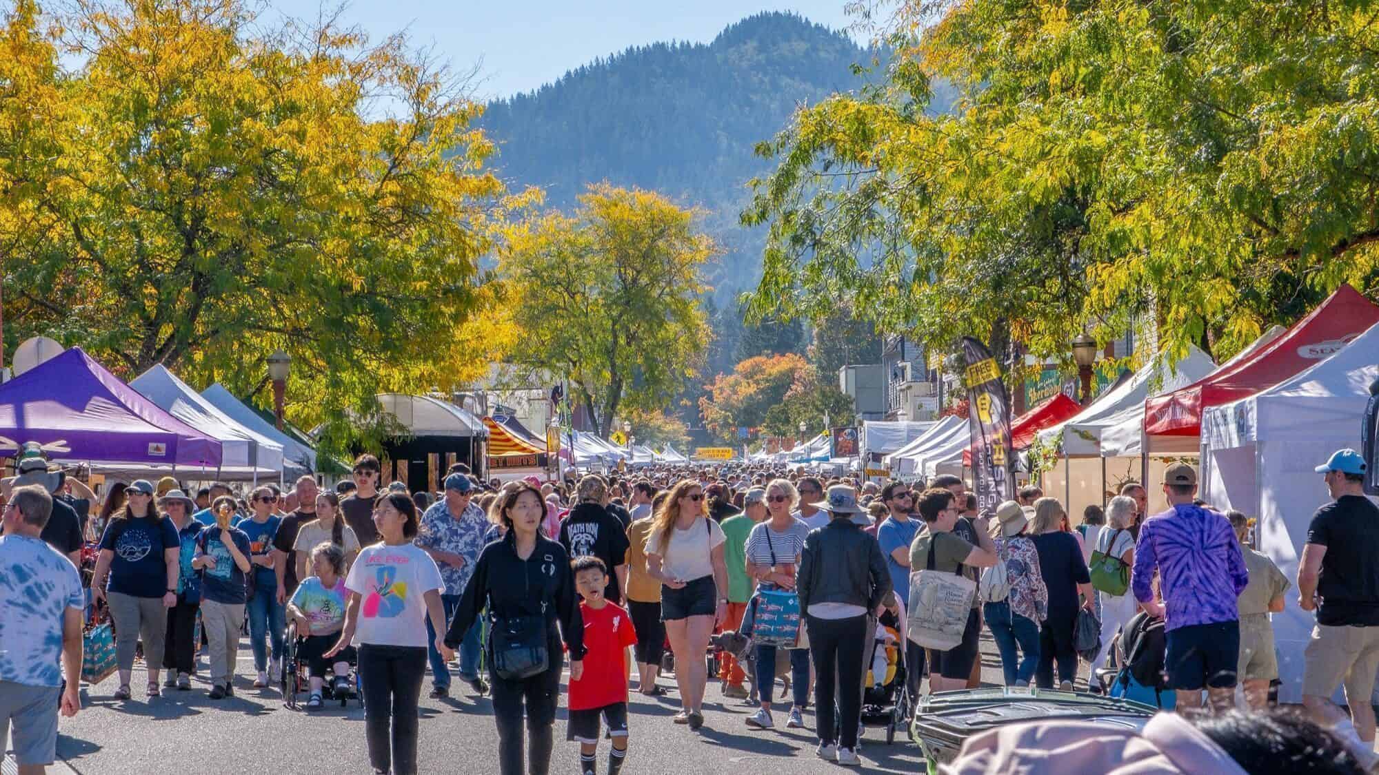 Crowd of people walking among vendor tents at an outdoor street fair on a sunny day, with trees and mountains in the background.