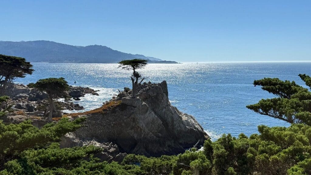 Rocky coastline with sparse trees, including a lone cypress on a cliff, overlooking a calm, sunlit ocean with distant mountains under a clear blue sky.