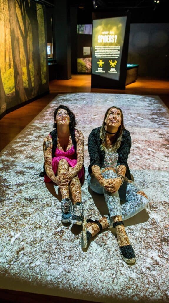 Two people sit on a floor covered in a nature-themed light projection at a museum exhibit, with patterns of spiders and their secret lives cast vividly across their bodies and faces.