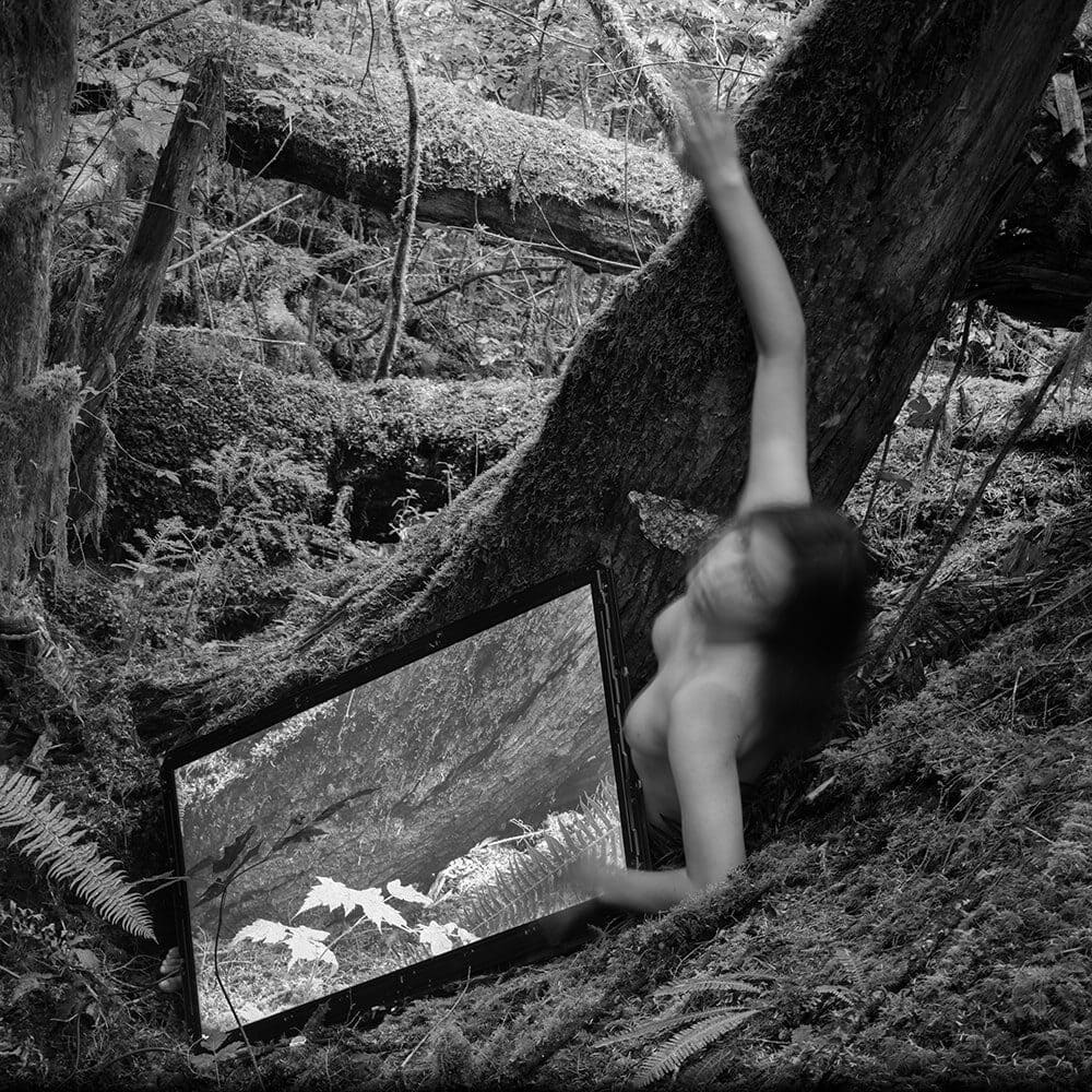 A person with a blurred face emerges from behind a tree in a forest, next to a large screen displaying a matching forest scene. This black and white image echoes the nuanced style of a Seattle photographer featured in the Frye Art Museum.