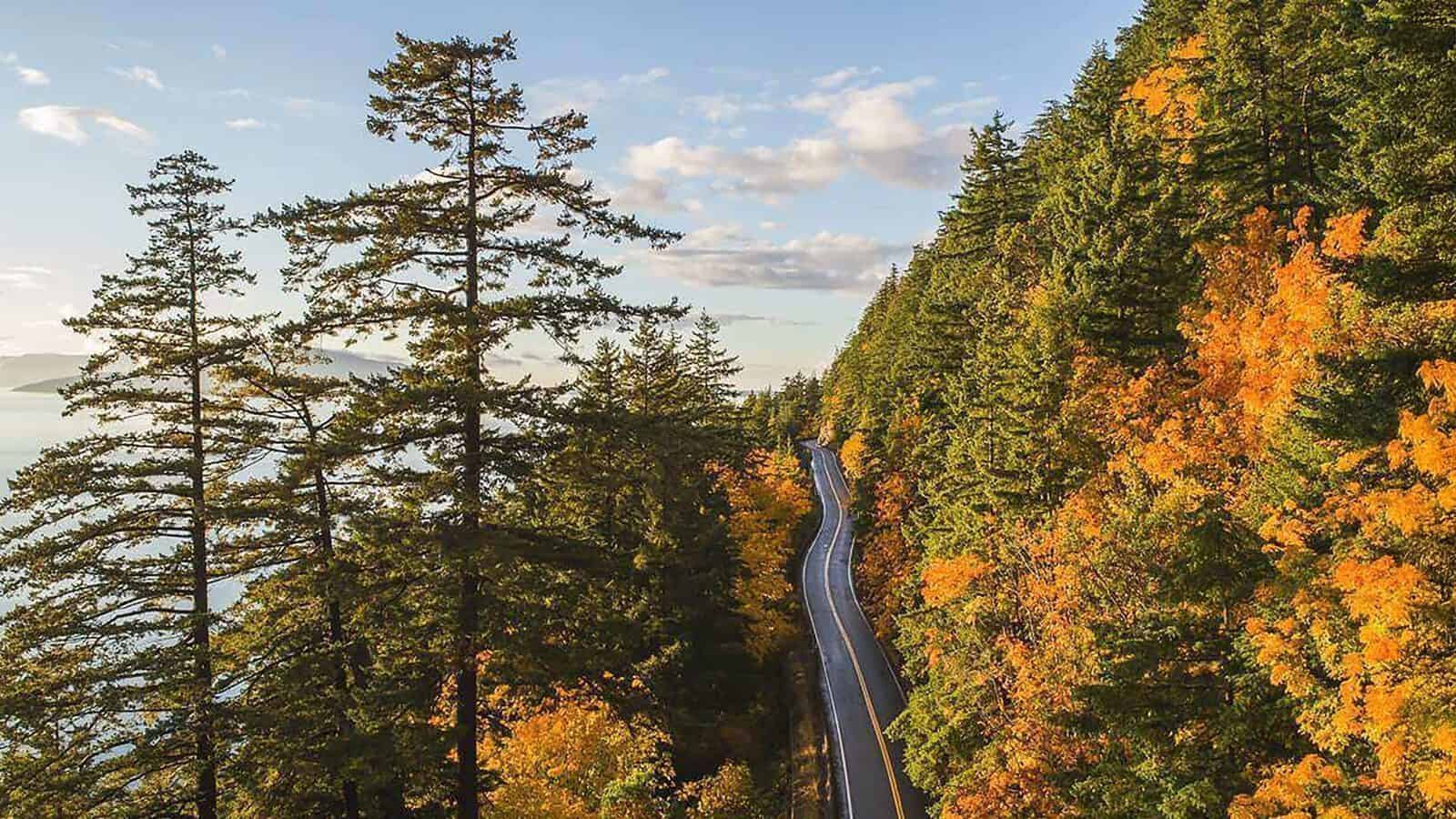 A paved road winds through a forest of green and yellow trees beneath a partly cloudy sky, offering postcard-worthy scenery along WA State Highway 11, also known as Chuckanut Drive.