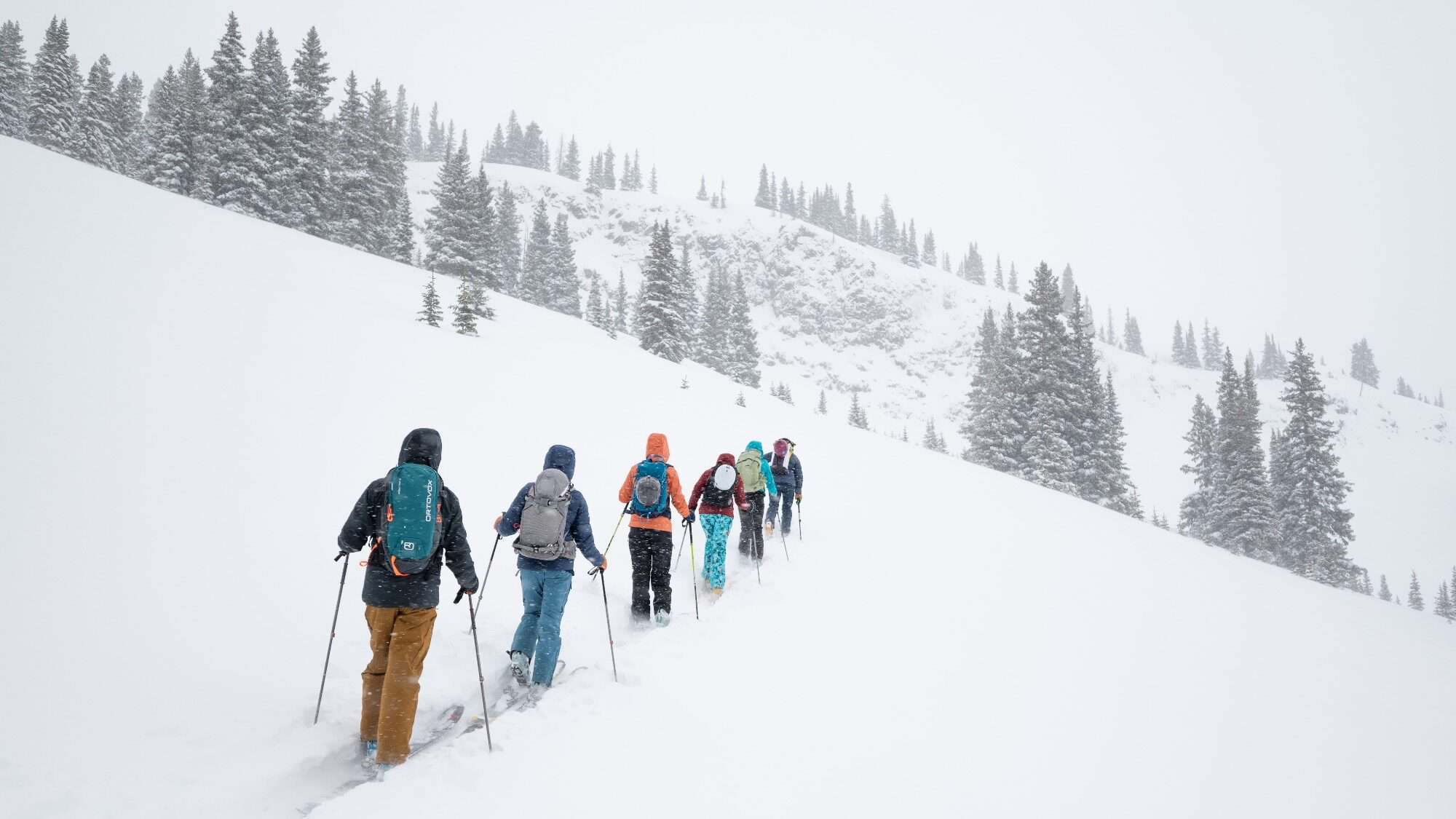 A group of people with backpacks and trekking poles hike in single file through deep snow on a snowy mountain slope with pine trees.