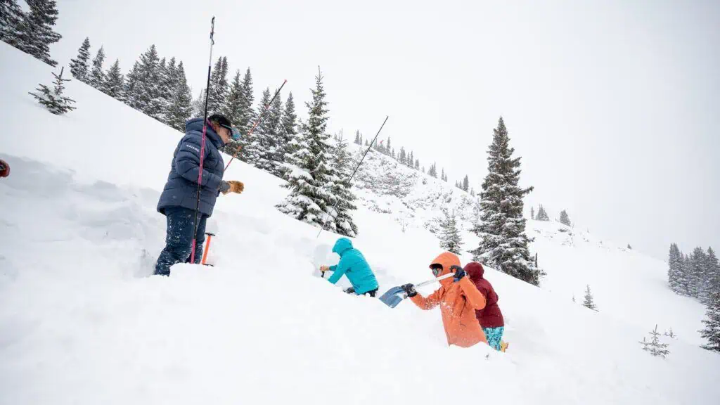 Several people wearing winter clothing dig in deep snow on a mountain slope surrounded by pine trees under an overcast sky.