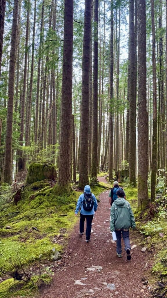 Three people with backpacks walk along a dirt trail through a dense forest of tall trees, surrounded by green moss and foliage.