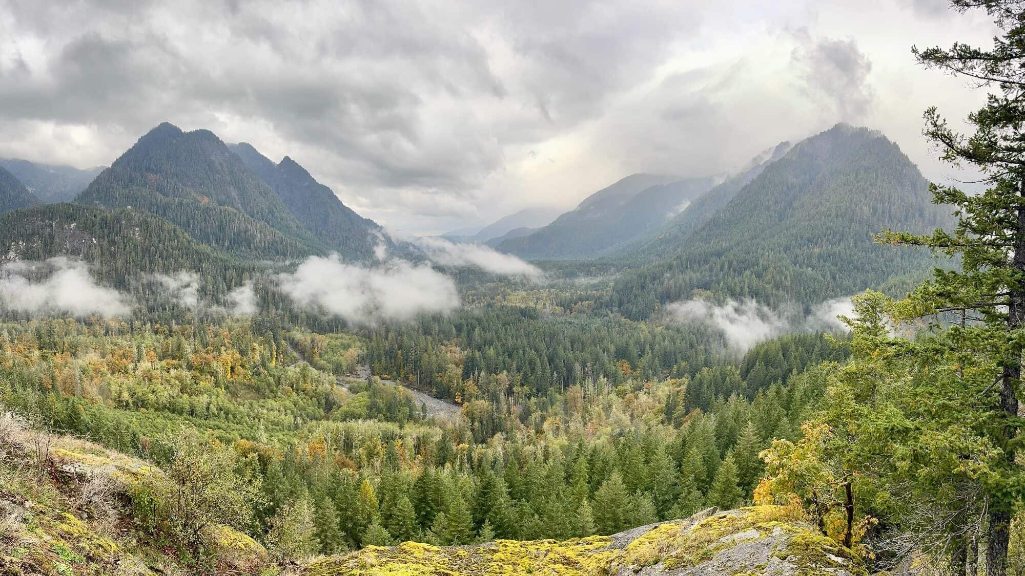 Panoramic view of a forested valley with evergreen trees, rolling hills, fog patches, and mountains under a cloudy sky.