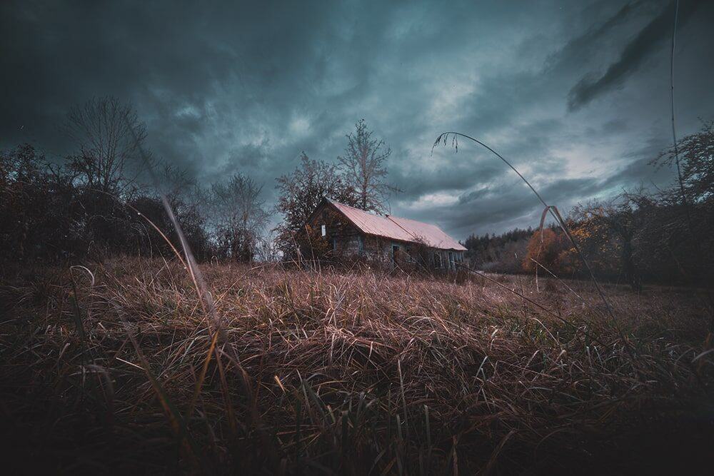 An old wooden house with a tin roof stands in an overgrown field under a cloudy, dark sky, surrounded by leafless trees—a scene reminiscent of Nick Ward’s atmospheric photography.