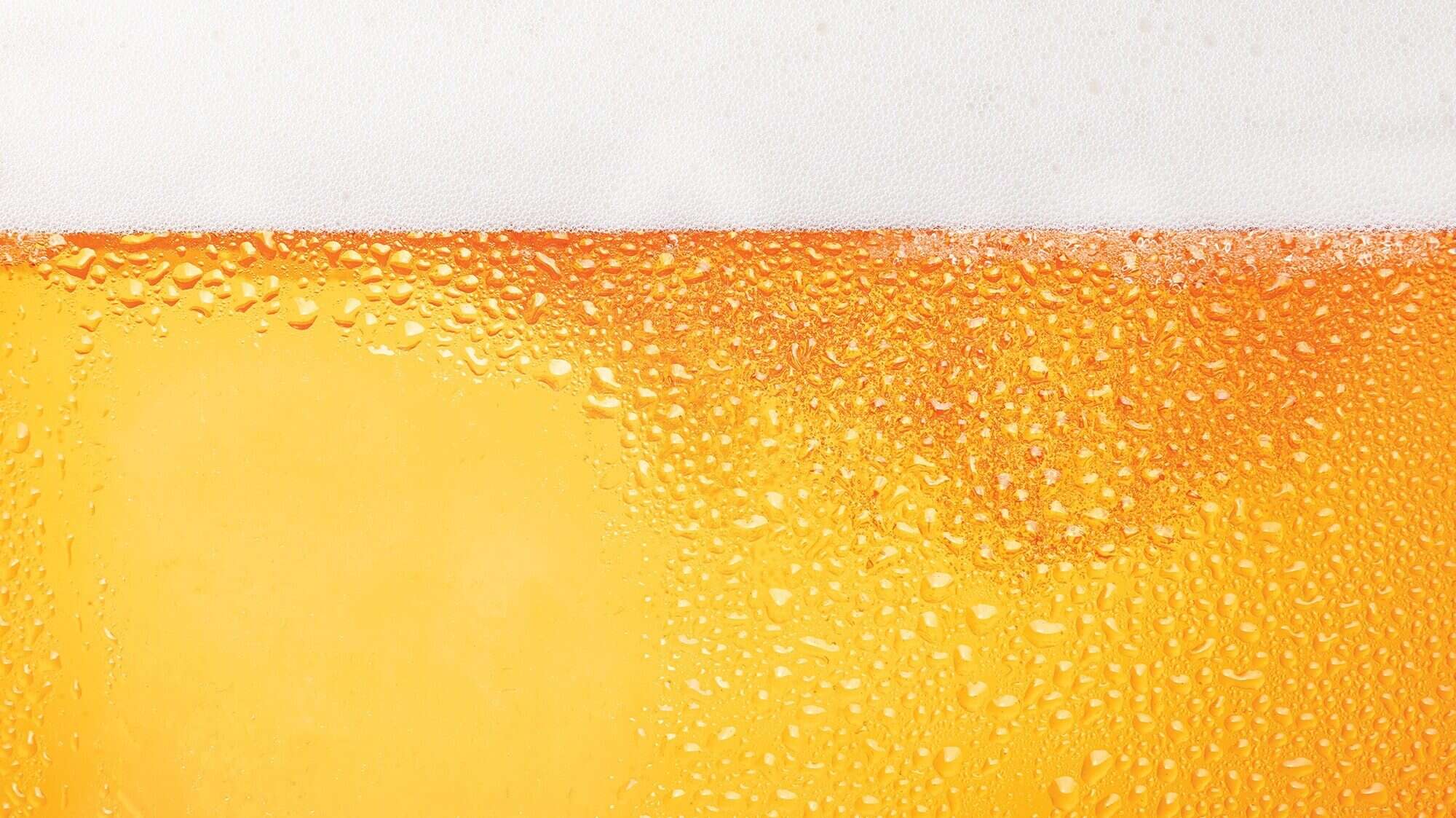 Close-up of a glass of beer with condensation on the outside and a thick layer of foam on top—proof that Something’s Brewing and it’s refreshingly inviting.