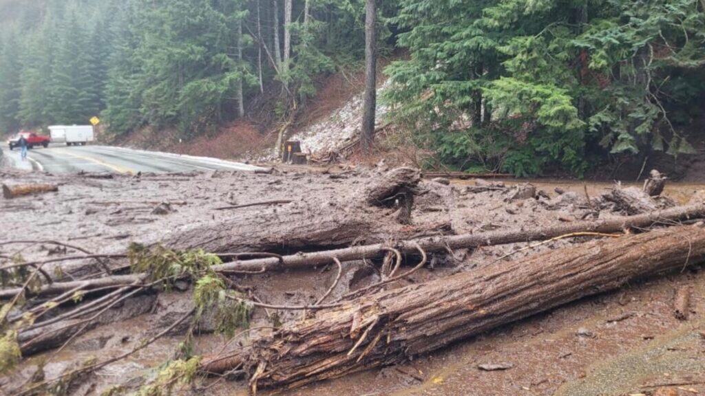 Large fallen trees and muddy debris block a roadway in a forested area, with a vehicle and person visible in the background.