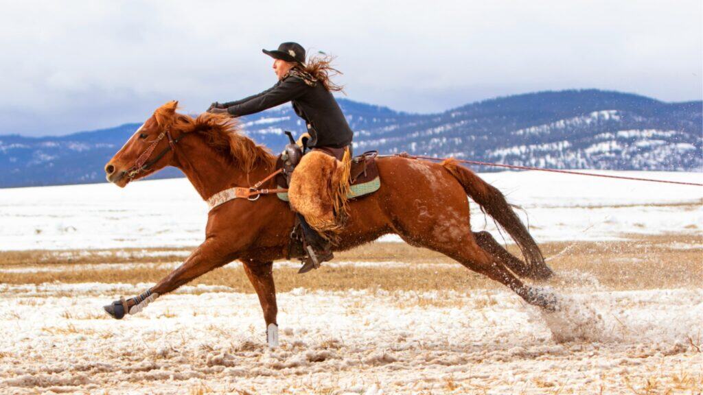A person wearing a black jacket and hat rides a galloping horse across a snowy field with mountains in the background.