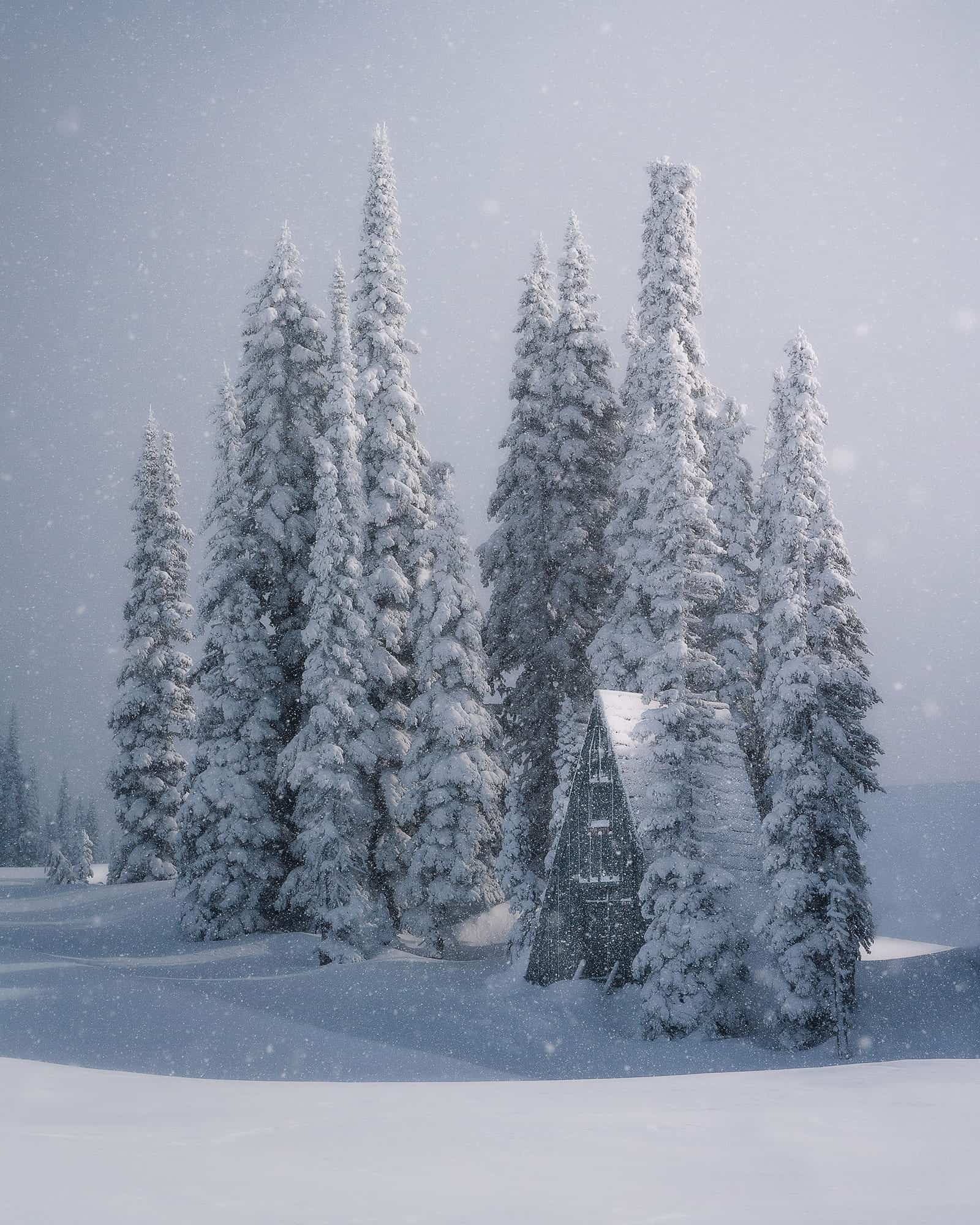 A small A-frame cabin surrounded by tall snow-covered pine trees during snowfall creates a perfect winter landscape for photography enthusiasts like Tiffanie Yang.