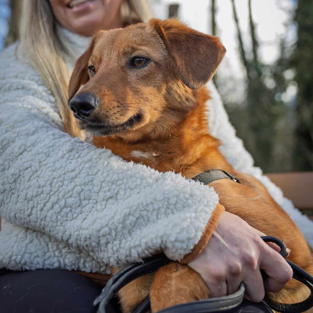 A woman wearing a white fleece jacket holds a brown dog on her lap outdoors, with the dog's leash in her hand.