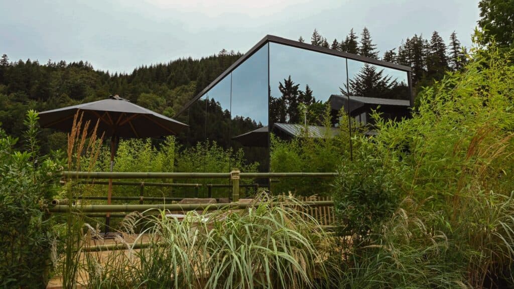 A modern house with mirrored walls is surrounded by dense greenery, tall grass, and bamboo, with a black patio umbrella and forested hills in the background.