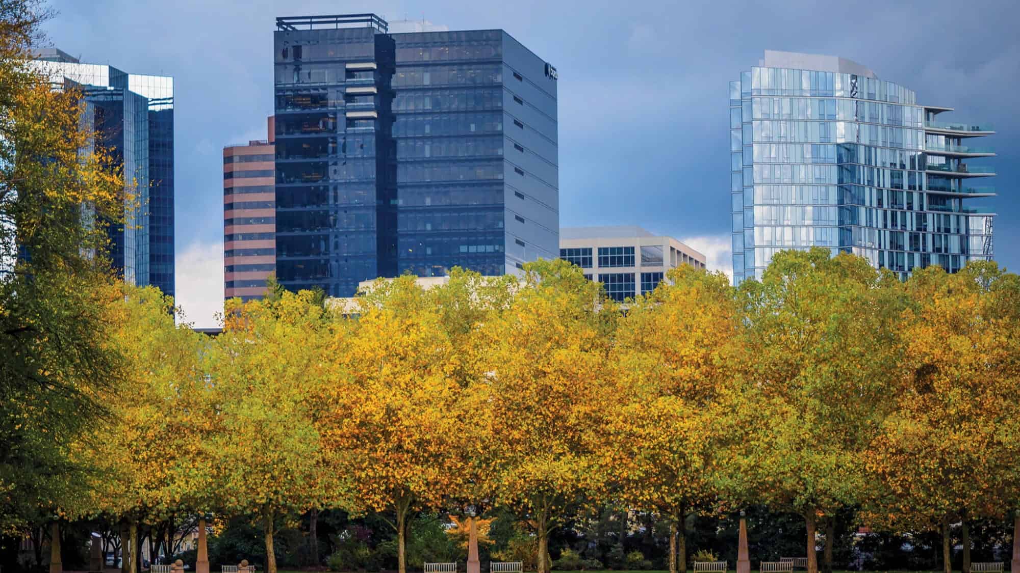 The Bellevue city skyline features modern glass office buildings rising behind a row of trees with green and yellow autumn foliage, reflecting why it's often ranked among the Best Places to Live under a cloudy sky.