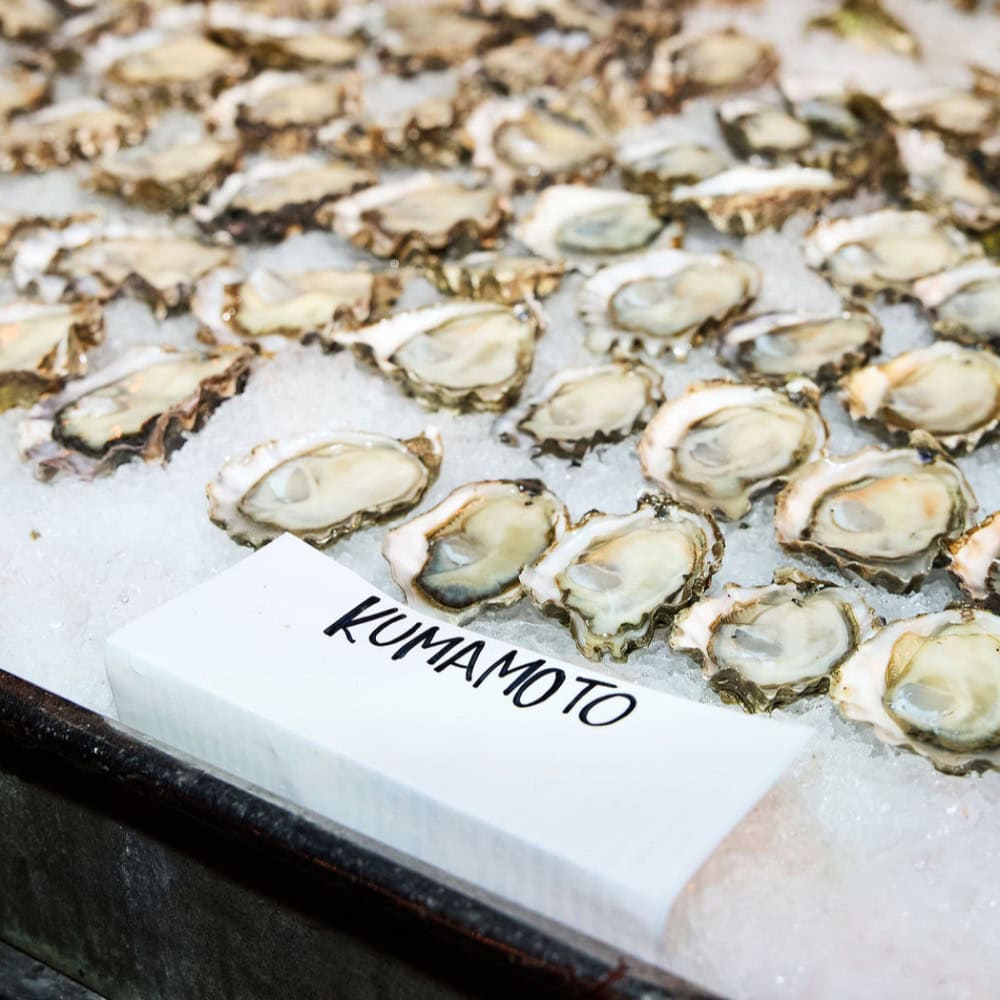 Rearview Mirror: An Oyster Party, Money for Art, and Mac & Cheese at 30,000 Feet 