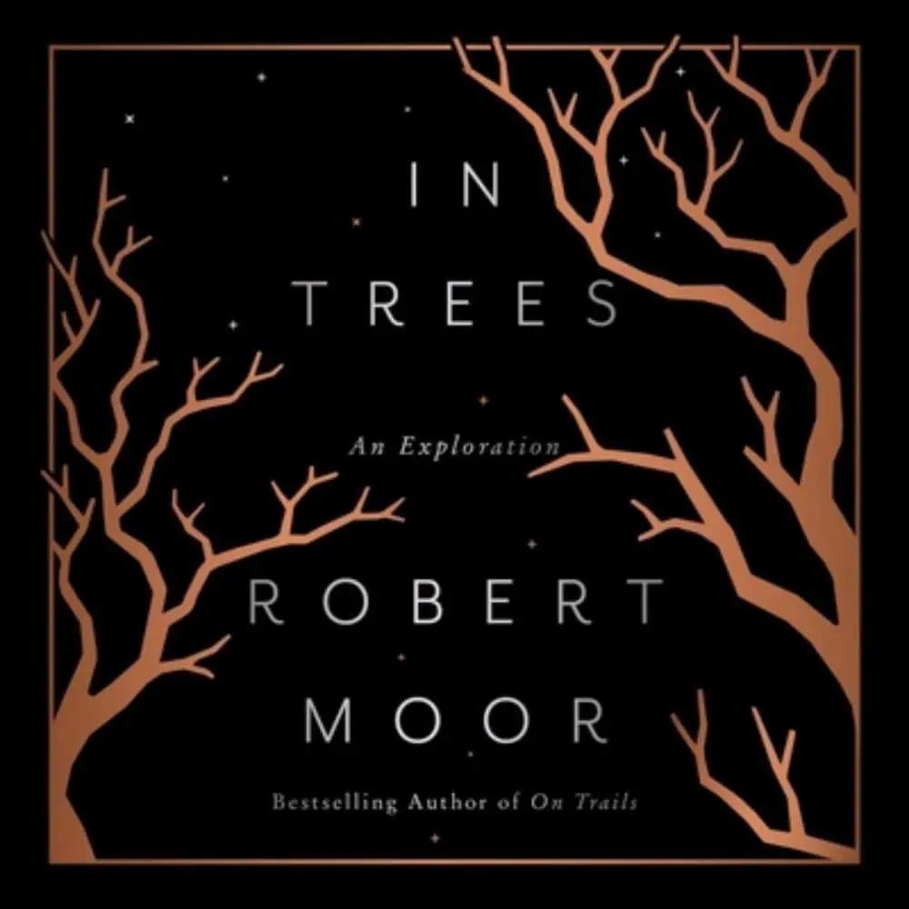 Book cover for "In Trees: An Exploration" by Robert Moor, featuring bare tree branches against a black background with small star-like dots.