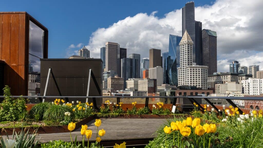 Rooftop garden with yellow tulips overlooks a city skyline, where modern high-rise buildings stand tall—an inspiring space perfect for a rally or gathering led by Angela Dunleavy under a partly cloudy sky.