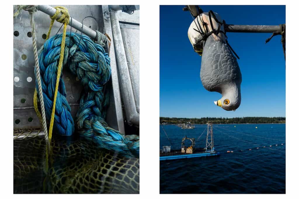 A coiled blue rope is next to yellow netting on a metal boat; a plastic seagull decoy hangs upside down over water with docks and trees in the background.