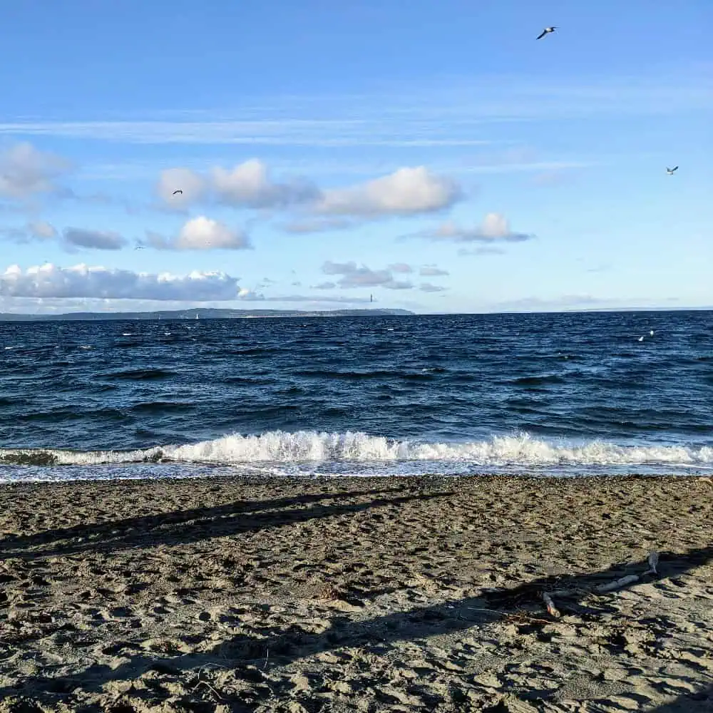 A sandy beach with gentle waves, seagulls flying above, and a distant landmass under a partly cloudy sky sets the perfect scene for a Mother’s Day gift guide.