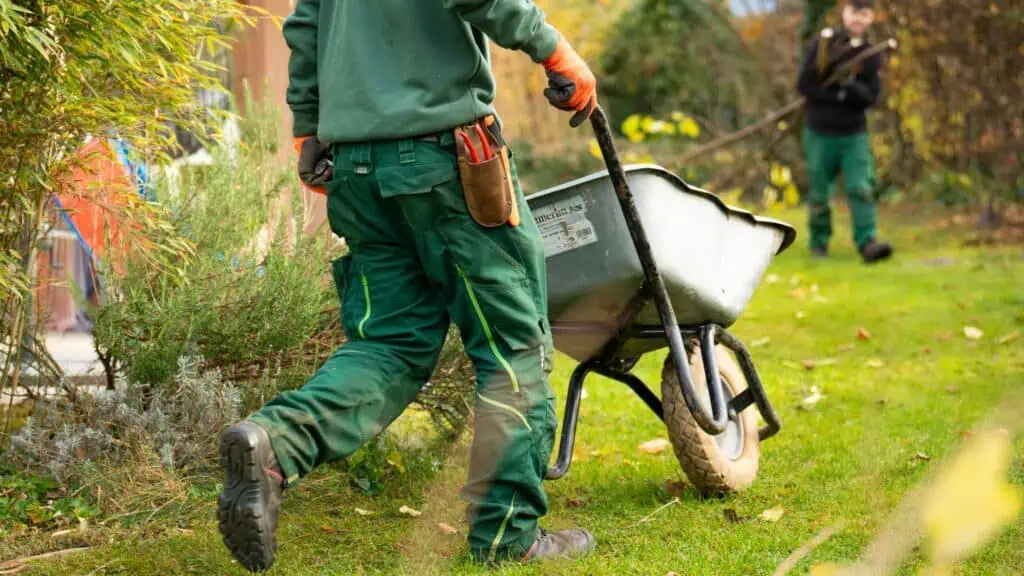 Two people are working in a garden; one is pushing a wheelbarrow while the other is carrying branches in the background.