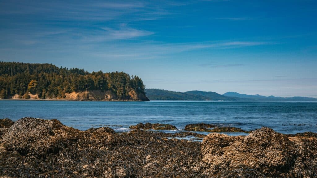 Rocky shoreline covered in seaweed and barnacles with calm blue water, a forested headland, and distant mountains under a clear sky—a serene Earth Month scene to add to your nature-inspired to-do list.