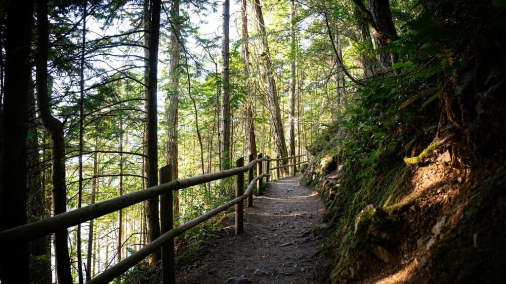 A dirt hiking trail winds through a forest, bordered by a wooden fence and surrounded by tall trees and green foliage.