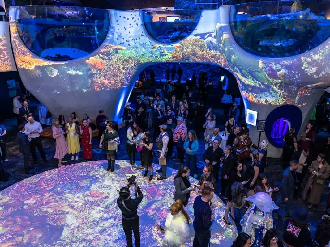 Attendees Social Under the Sea