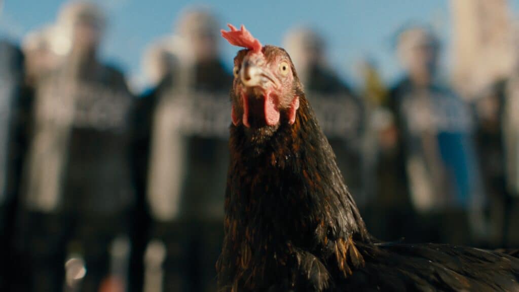 A black chicken stands in sharp focus with blurred figures of people in riot gear visible in the background.