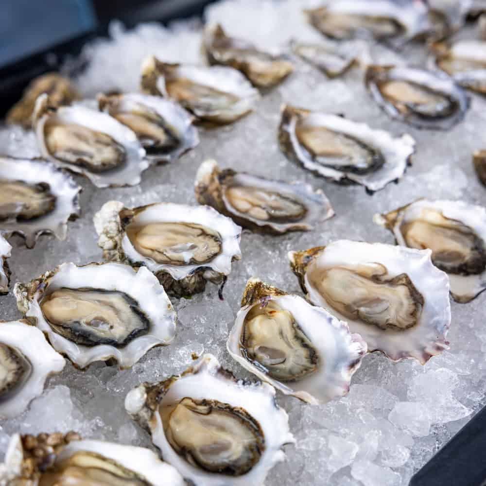 Restaurant Roundup: Oysters in the Sky and Free Samples