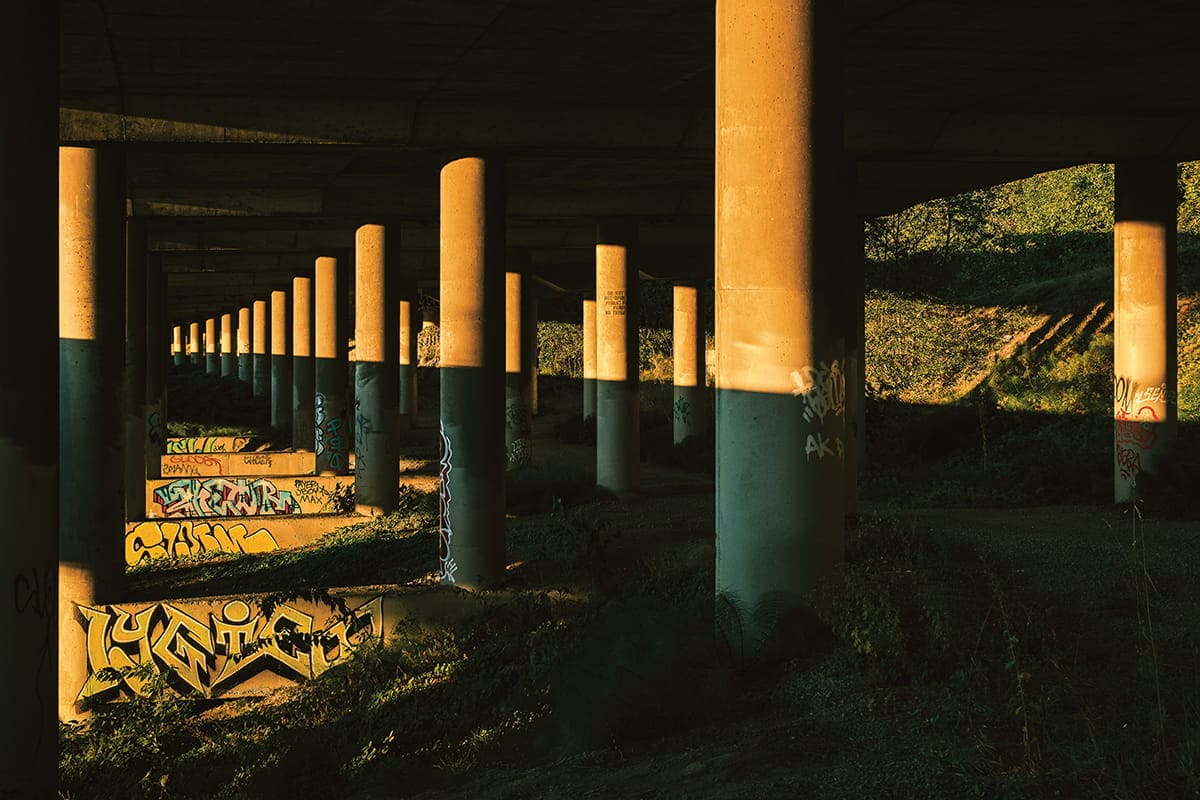 Concrete pillars under a bridge in Pioneer Square are covered in colorful graffiti, with sunlight casting long shadows—a striking example of urban landscape photography capturing the area's raw vibrancy.